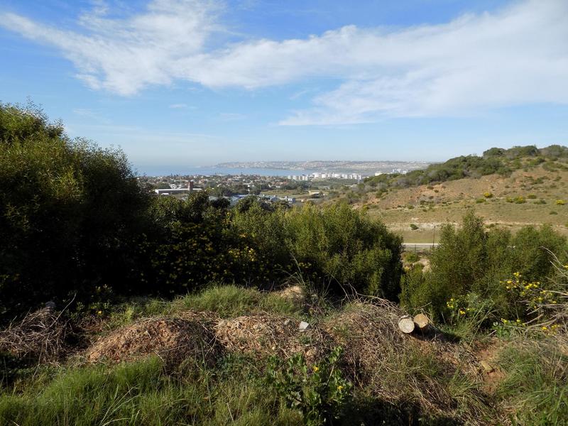0 Bedroom Property for Sale in Menkenkop Western Cape